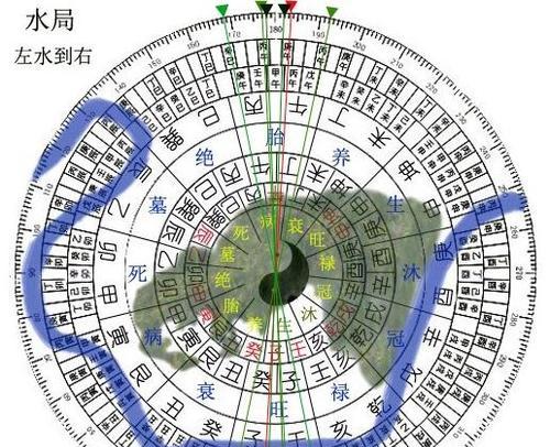 宠物水龙金龙游戏攻略（掌握技巧，成就传奇一生！）