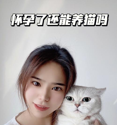 养猫抗击疫情，守护爱与健康（以养猫为主题的抗击疫情游戏攻略，助你度过隔离时光）