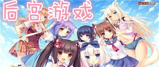 《忍者后宫游戏2攻略手游》（掌握秘技、提升实力，打造属于自己的忍者传奇）