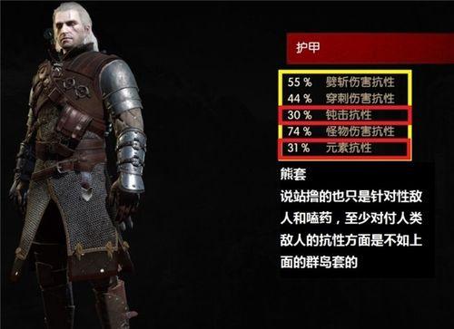 法师VS猎魔人（探索两种职业装备选择的不同之处）
