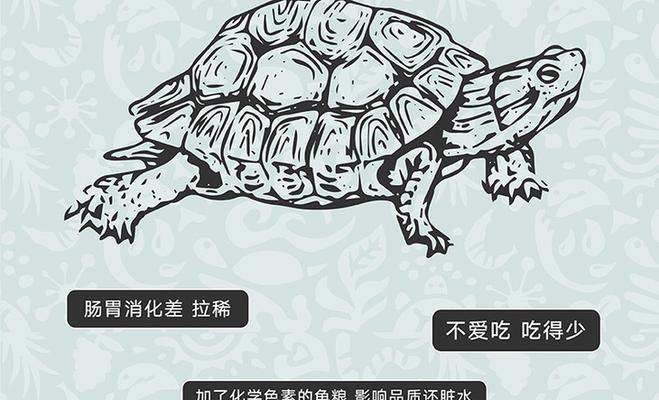 探索水中生命的秘密——《以水成life》游戏攻略（从水滴到海洋，揭开生命起源的迷雾）