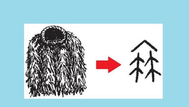 雨衣铭文出装攻略（最新版雨衣铭文出装攻略，让你在游戏中发挥出最强实力）